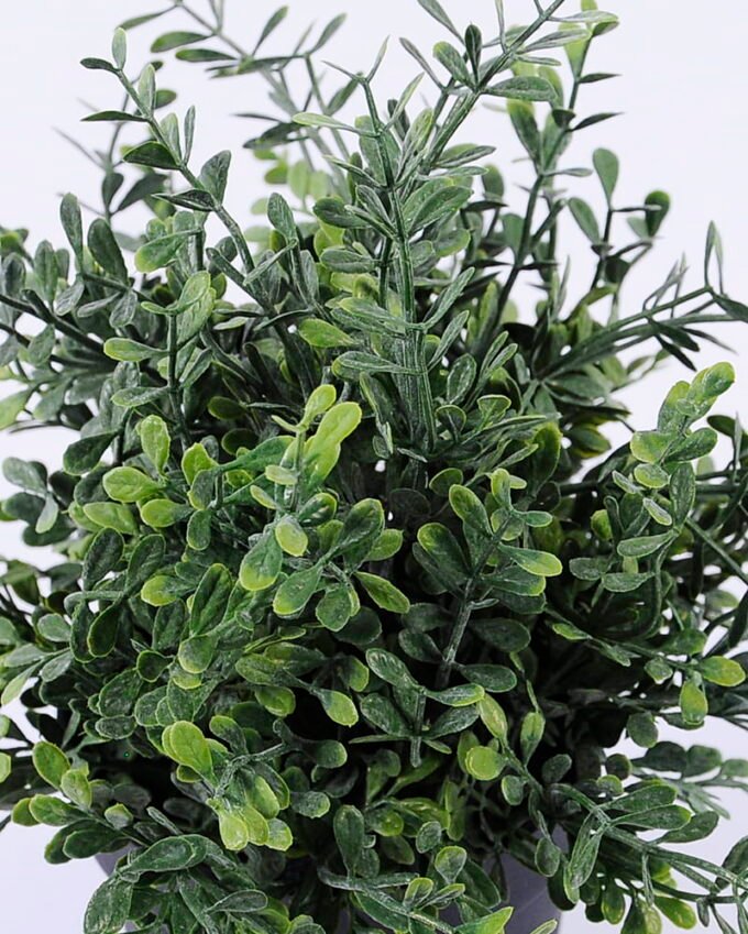 Artificial Plant 20*20*23cm Grass in pp pot GS-06920080 Potted Flowers&Plants YeahFlower is one of Chinese leading OEM manufacturers and exporters , supplying the silk flowers, wholesale artificial trees
