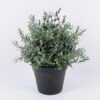 Artificial Plant 24*23*26cm Grass in pp pot GS-06920081 Potted Flowers&Plants YeahFlower is one of Chinese leading OEM manufacturers and exporters , supplying the silk flowers, wholesale artificial trees
