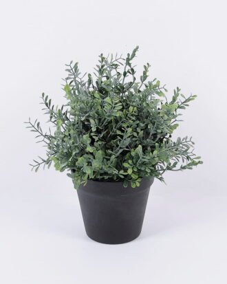 Artificial Plant 24*23*26cm Grass in pp pot GS-06920081 Potted Flowers&Plants YeahFlower is one of Chinese leading OEM manufacturers and exporters , supplying the silk flowers, wholesale artificial trees