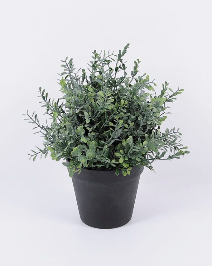 Artificial Plant 24*23*26cm Grass in pp pot GS-06920081 Potted Flowers&Plants YeahFlower is one of Chinese leading OEM manufacturers and exporters , supplying the silk flowers, wholesale artificial trees