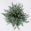 Artificial Plant 24*23*26cm Grass in pp pot GS-06920081 Potted Flowers&Plants YeahFlower is one of Chinese leading OEM manufacturers and exporters , supplying the silk flowers, wholesale artificial trees