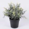 Artificial Plant 22*22*22cm Grass in pp pot GS-06920082 Potted Flowers&Plants YeahFlower is one of Chinese leading OEM manufacturers and exporters , supplying the silk flowers, wholesale artificial trees
