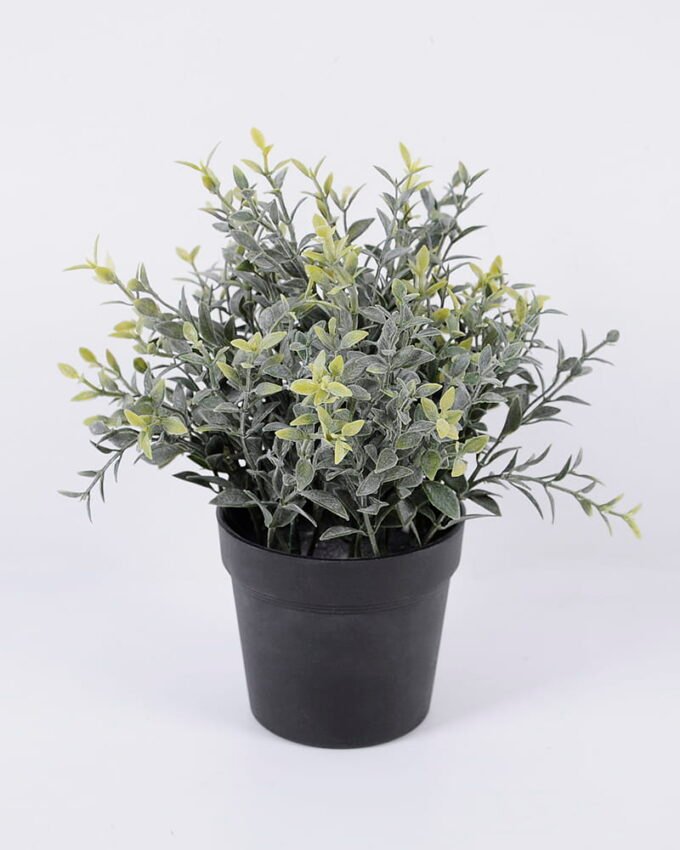 Artificial Plant 22*22*22cm Grass in pp pot GS-06920082 Potted Flowers&Plants YeahFlower is one of Chinese leading OEM manufacturers and exporters , supplying the silk flowers, wholesale artificial trees