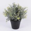Artificial Plant 24*23*27cm Grass in pp pot GS-06920083 Potted Flowers&Plants YeahFlower is one of Chinese leading OEM manufacturers and exporters , supplying the silk flowers, wholesale artificial trees