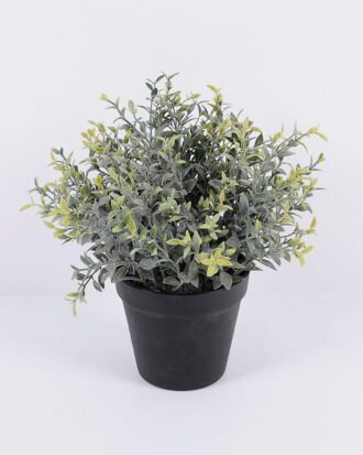 Artificial Plant 24*23*27cm Grass in pp pot GS-06920083 Potted Flowers&Plants YeahFlower is one of Chinese leading OEM manufacturers and exporters , supplying the silk flowers, wholesale artificial trees