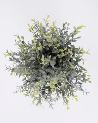 Artificial Plant 24*23*27cm Grass in pp pot GS-06920083 Potted Flowers&Plants YeahFlower is one of Chinese leading OEM manufacturers and exporters , supplying the silk flowers, wholesale artificial trees