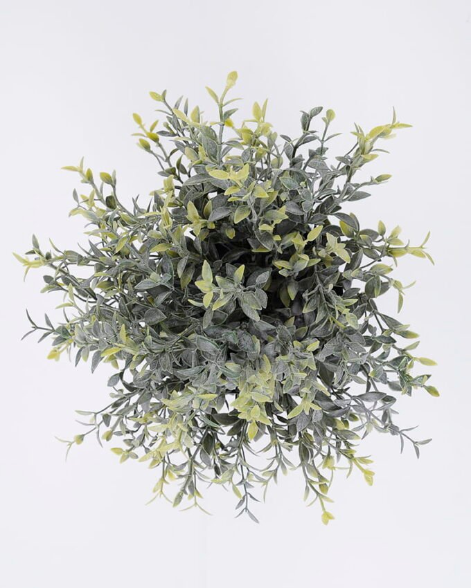 Artificial Plant 24*23*27cm Grass in pp pot GS-06920083 Potted Flowers&Plants YeahFlower is one of Chinese leading OEM manufacturers and exporters , supplying the silk flowers, wholesale artificial trees