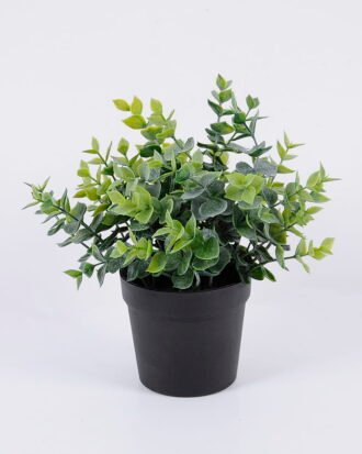 Artificial Plant 22*22*22cm Grass in pp pot GS-06920084 Potted Flowers&Plants YeahFlower is one of Chinese leading OEM manufacturers and exporters , supplying the silk flowers, wholesale artificial trees