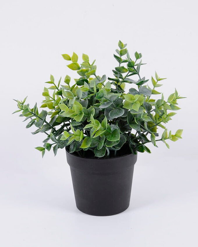 Artificial Plant 22*22*22cm Grass in pp pot GS-06920084 Potted Flowers&Plants YeahFlower is one of Chinese leading OEM manufacturers and exporters , supplying the silk flowers, wholesale artificial trees