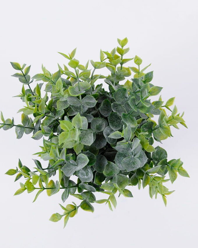 Artificial Plant 22*22*22cm Grass in pp pot GS-06920084 Potted Flowers&Plants YeahFlower is one of Chinese leading OEM manufacturers and exporters , supplying the silk flowers, wholesale artificial trees