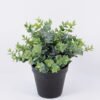 Artificial Plant 25*25*25cm Grass in pp pot GS-06920085 Potted Flowers&Plants YeahFlower is one of Chinese leading OEM manufacturers and exporters , supplying the silk flowers, wholesale artificial trees