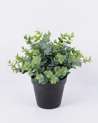 Artificial Plant 25*25*25cm Grass in pp pot GS-06920085 Potted Flowers&Plants YeahFlower is one of Chinese leading OEM manufacturers and exporters , supplying the silk flowers, wholesale artificial trees
