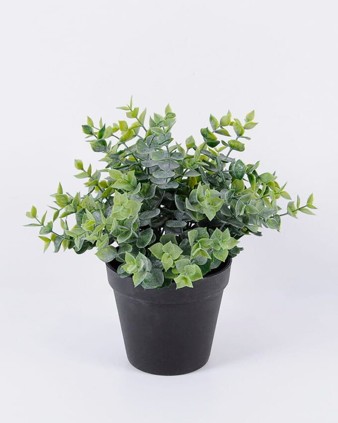 Artificial Plant 25*25*25cm Grass in pp pot GS-06920085 Potted Flowers&Plants YeahFlower is one of Chinese leading OEM manufacturers and exporters , supplying the silk flowers, wholesale artificial trees