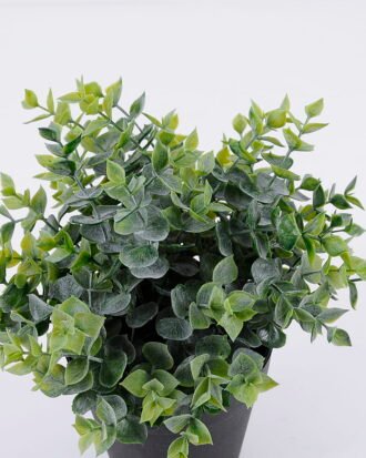 Artificial Plant 25*25*25cm Grass in pp pot GS-06920085 Potted Flowers&Plants YeahFlower is one of Chinese leading OEM manufacturers and exporters , supplying the silk flowers, wholesale artificial trees