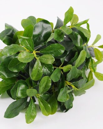 Artificial Plant 31*33*41CM Green Polyscias Bush GS-51119001-G1 Leaves&Sprays&Foliages YeahFlower is one of Chinese leading OEM manufacturers and exporters , supplying the silk flowers, wholesale artificial trees Artificial Plant 31*33*41CM Green Polyscias Bush GS-51119001-G1 Leaves&Sprays&Foliages YeahFlower is one of Chinese leading OEM manufacturers and exporters , supplying the silk flowers, wholesale artificial trees