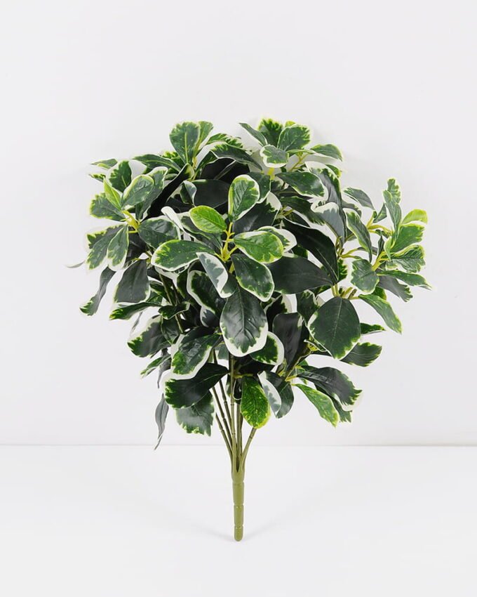 Artificial Plant Green Polyscias Bush GS-51119001-G2_3 Artificial Plant 31*33*41CM Green Polyscias Bush GS-51119001-G2 Leaves&Sprays&Foliages YeahFlower is one of Chinese leading OEM manufacturers and exporters , supplying the silk flowers, wholesale artificial trees