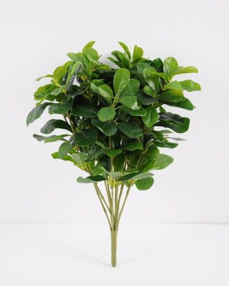Artificial Plant 35*35*41CM Green Polyscias Bush GS-51119003 Leaves&Sprays&Foliages YeahFlower is one of Chinese leading OEM manufacturers and exporters , supplying the silk flowers, wholesale artificial trees Artificial Plant 35*35*41CM Green Polyscias Bush GS-51119003 Leaves&Sprays&Foliages YeahFlower is one of Chinese leading OEM manufacturers and exporters , supplying the silk flowers, wholesale artificial trees