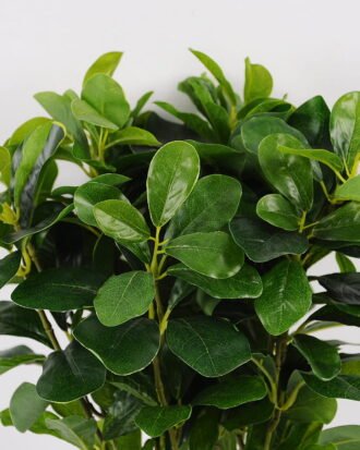 Artificial Plant 35*35*41CM Green Polyscias Bush GS-51119003 Leaves&Sprays&Foliages YeahFlower is one of Chinese leading OEM manufacturers and exporters , supplying the silk flowers, wholesale artificial trees Artificial Plant 35*35*41CM Green Polyscias Bush GS-51119003 Leaves&Sprays&Foliages YeahFlower is one of Chinese leading OEM manufacturers and exporters , supplying the silk flowers, wholesale artificial trees