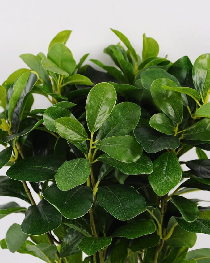 Artificial Plant Green Polyscias Bush GS-51119003_7 Artificial Plant 35*35*41CM Green Polyscias Bush GS-51119003 Leaves&Sprays&Foliages YeahFlower is one of Chinese leading OEM manufacturers and exporters , supplying the silk flowers, wholesale artificial trees