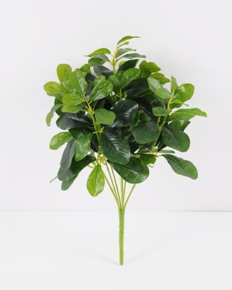 Artificial Plant 26*25*41CM Green Polyscias Bush GS-51119004-G1 Leaves&Sprays&Foliages YeahFlower is one of Chinese leading OEM manufacturers and exporters , supplying the silk flowers, wholesale artificial trees Artificial Plant 26*25*41CM Green Polyscias Bush GS-51119004-G1 Leaves&Sprays&Foliages YeahFlower is one of Chinese leading OEM manufacturers and exporters , supplying the silk flowers, wholesale artificial trees