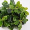 Artificial Plant Green Polyscias Bush GS-51119004-G1_6 Artificial Plant 26*25*41CM Green Polyscias Bush GS-51119004-G1 Leaves&Sprays&Foliages YeahFlower is one of Chinese leading OEM manufacturers and exporters , supplying the silk flowers, wholesale artificial trees