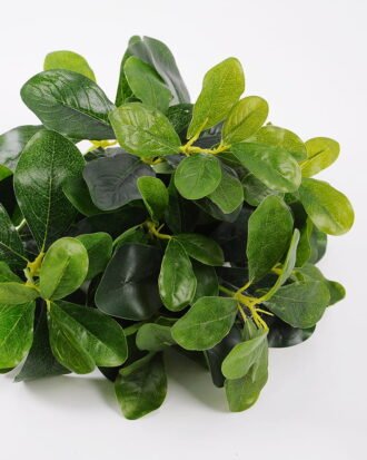 Artificial Plant 26*25*41CM Green Polyscias Bush GS-51119004-G1 Leaves&Sprays&Foliages YeahFlower is one of Chinese leading OEM manufacturers and exporters , supplying the silk flowers, wholesale artificial trees Artificial Plant 26*25*41CM Green Polyscias Bush GS-51119004-G1 Leaves&Sprays&Foliages YeahFlower is one of Chinese leading OEM manufacturers and exporters , supplying the silk flowers, wholesale artificial trees