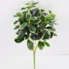 Artificial Plant 26*25*41CM Green Polyscias Bush GS-51119004CONTI-G2 Leaves&Sprays&Foliages YeahFlower is one of Chinese leading OEM manufacturers and exporters , supplying the silk flowers, wholesale artificial trees