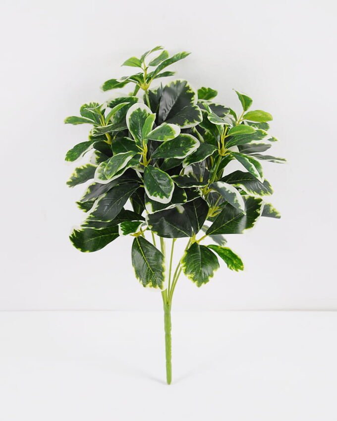 Artificial Plant 26*25*41CM Green Polyscias Bush GS-51119004CONTI-G2 Leaves&Sprays&Foliages YeahFlower is one of Chinese leading OEM manufacturers and exporters , supplying the silk flowers, wholesale artificial trees
