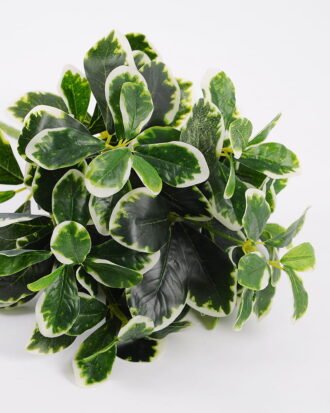 Artificial Plant 26*25*41CM Green Polyscias Bush GS-51119004CONTI-G2 Leaves&Sprays&Foliages YeahFlower is one of Chinese leading OEM manufacturers and exporters , supplying the silk flowers, wholesale artificial trees Artificial Plant 26*25*41CM Green Polyscias Bush GS-51119004CONTI-G2 Leaves&Sprays&Foliages YeahFlower is one of Chinese leading OEM manufacturers and exporters , supplying the silk flowers, wholesale artificial trees