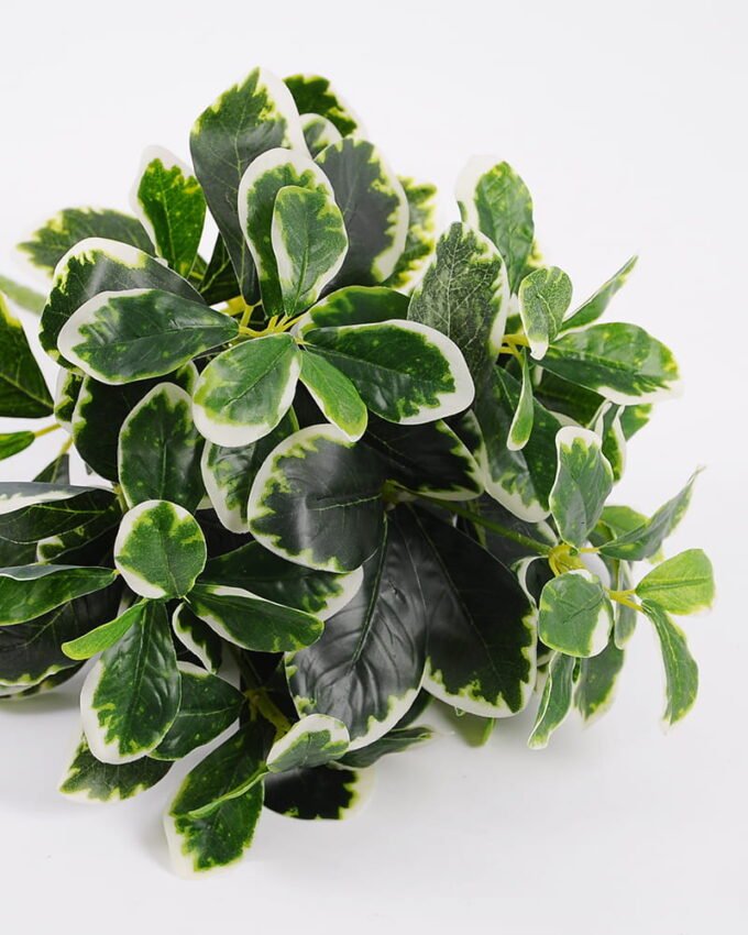 Artificial Plant 26*25*41CM Green Polyscias Bush GS-51119004CONTI-G2 Leaves&Sprays&Foliages YeahFlower is one of Chinese leading OEM manufacturers and exporters , supplying the silk flowers, wholesale artificial trees