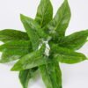 Artificial Plant 30*34cm Leaves Bush GS-23120001 Leaves&Sprays&Foliages YeahFlower is one of Chinese leading OEM manufacturers and exporters , supplying the silk flowers, wholesale artificial trees