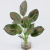 Artificial Plant Leaves in glass ware GS-06921013_3 Artificial Plant 32*40cm Leaves in glass ware GS-06921013 Leaves&Sprays&Foliages YeahFlower is one of Chinese leading OEM manufacturers and exporters , supplying the silk flowers, wholesale artificial trees