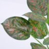 Artificial Plant Leaves in glass ware GS-06921013_6 Artificial Plant 32*40cm Leaves in glass ware GS-06921013 Leaves&Sprays&Foliages YeahFlower is one of Chinese leading OEM manufacturers and exporters , supplying the silk flowers, wholesale artificial trees