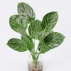 Artificial Plant Leaves in glass ware GS-06921014_4 Artificial Plant 32*40cm Leaves in glass ware GS-06921014 Leaves&Sprays&Foliages YeahFlower is one of Chinese leading OEM manufacturers and exporters , supplying the silk flowers, wholesale artificial trees