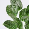 Artificial Plant Leaves in glass ware GS-06921014_6 Artificial Plant 32*40cm Leaves in glass ware GS-06921014 Leaves&Sprays&Foliages YeahFlower is one of Chinese leading OEM manufacturers and exporters , supplying the silk flowers, wholesale artificial trees
