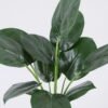 Artificial Plant 32*40cm Leaves in glass ware GS-06921015 Leaves&Sprays&Foliages YeahFlower is one of Chinese leading OEM manufacturers and exporters , supplying the silk flowers, wholesale artificial trees