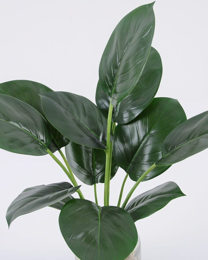 Artificial Plant 32*40cm Leaves in glass ware GS-06921015 Leaves&Sprays&Foliages YeahFlower is one of Chinese leading OEM manufacturers and exporters , supplying the silk flowers, wholesale artificial trees