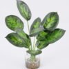 Artificial Plant 32*40cm Leaves in glass ware GS-06921016 Leaves&Sprays&Foliages YeahFlower is one of Chinese leading OEM manufacturers and exporters , supplying the silk flowers, wholesale artificial trees