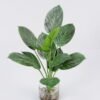 Artificial Plant 32*40cm Leaves in glass ware GS-06921017 Leaves&Sprays&Foliages YeahFlower is one of Chinese leading OEM manufacturers and exporters , supplying the silk flowers, wholesale artificial trees