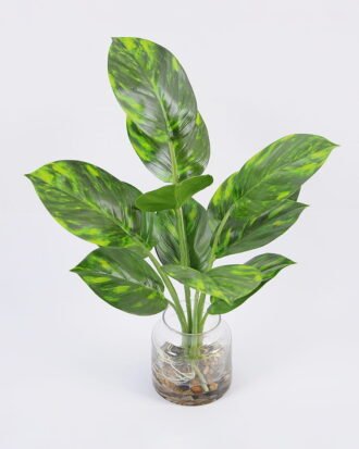 Artificial Plant 32*40cm Leaves in glass ware GS-06921018 Leaves&Sprays&Foliages YeahFlower is one of Chinese leading OEM manufacturers and exporters , supplying the silk flowers, wholesale artificial trees