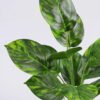 Artificial Plant 32*40cm Leaves in glass ware GS-06921018 Leaves&Sprays&Foliages YeahFlower is one of Chinese leading OEM manufacturers and exporters , supplying the silk flowers, wholesale artificial trees