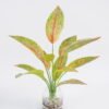 Artificial Plant 32*40cm Leaves in glass ware GS-06921019 Leaves&Sprays&Foliages YeahFlower is one of Chinese leading OEM manufacturers and exporters , supplying the silk flowers, wholesale artificial trees