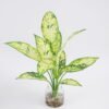 Artificial Plant 32*40cm Leaves in glass ware GS-06921021 Leaves&Sprays&Foliages YeahFlower is one of Chinese leading OEM manufacturers and exporters , supplying the silk flowers, wholesale artificial trees