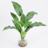 Artificial Plant 32*40cm Leaves in glass ware GS-06921023 Leaves&Sprays&Foliages YeahFlower is one of Chinese leading OEM manufacturers and exporters , supplying the silk flowers, wholesale artificial trees
