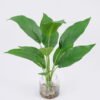 Artificial Plant 32*40cm Leaves in glass ware GS-06921024 Leaves&Sprays&Foliages YeahFlower is one of Chinese leading OEM manufacturers and exporters , supplying the silk flowers, wholesale artificial trees