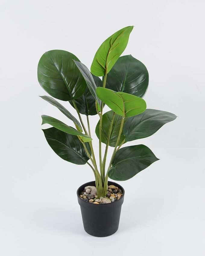 Artificial Plant 35*44cm Leaves in pp pot GS-06921003 Leaves&Sprays&Foliages YeahFlower is one of Chinese leading OEM manufacturers and exporters , supplying the silk flowers, wholesale artificial trees