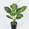 Artificial Plant 35*44cm Leaves in pp pot GS-06921004 Leaves&Sprays&Foliages YeahFlower is one of Chinese leading OEM manufacturers and exporters , supplying the silk flowers, wholesale artificial trees