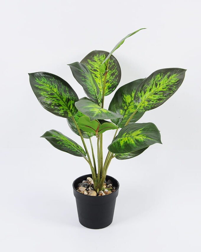 Artificial Plant 35*44cm Leaves in pp pot GS-06921004 Leaves&Sprays&Foliages YeahFlower is one of Chinese leading OEM manufacturers and exporters , supplying the silk flowers, wholesale artificial trees