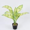 Artificial Plant 35*44cm Leaves in pp pot GS-06921009 Leaves&Sprays&Foliages YeahFlower is one of Chinese leading OEM manufacturers and exporters , supplying the silk flowers, wholesale artificial trees