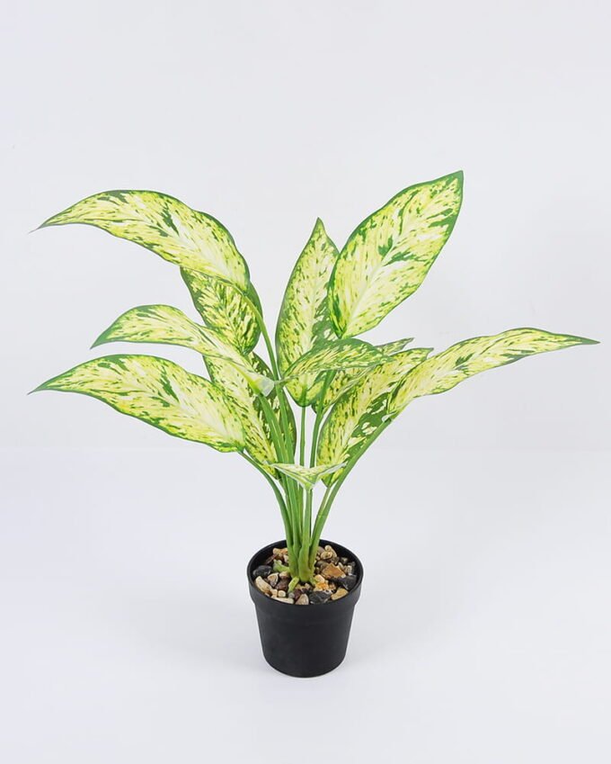 Artificial Plant 35*44cm Leaves in pp pot GS-06921009 Leaves&Sprays&Foliages YeahFlower is one of Chinese leading OEM manufacturers and exporters , supplying the silk flowers, wholesale artificial trees